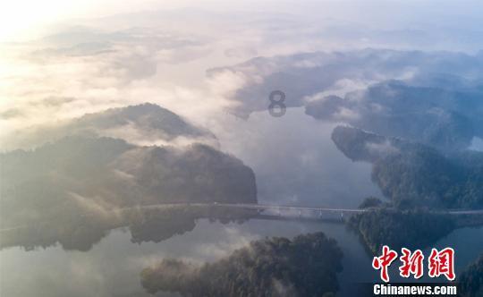 千亿AI龙头涨停，低估值+北上资金增持的优质科技股，仅12只